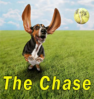 The Chase (PS 7-8)